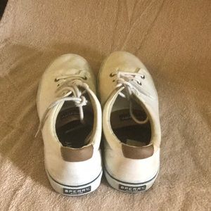 Sperry Shoes - Mens Sperry size 12 Sperry Shoes - Mens Sperry size 12